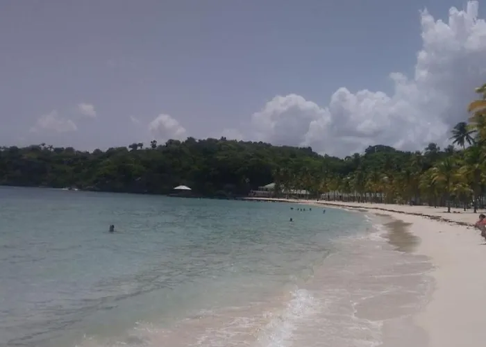 Bois Jolan, Sainte Anne.